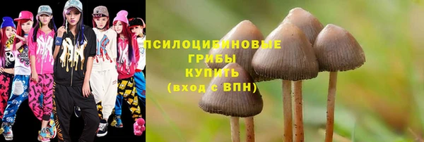 прущий лед Белоозёрский