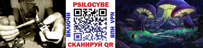 Псилоцибиновые грибы GOLDEN TEACHER  Краснокамск 