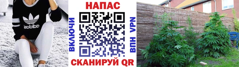 Бошки марихуана Bruce Banner  shop как зайти  Краснокамск 
